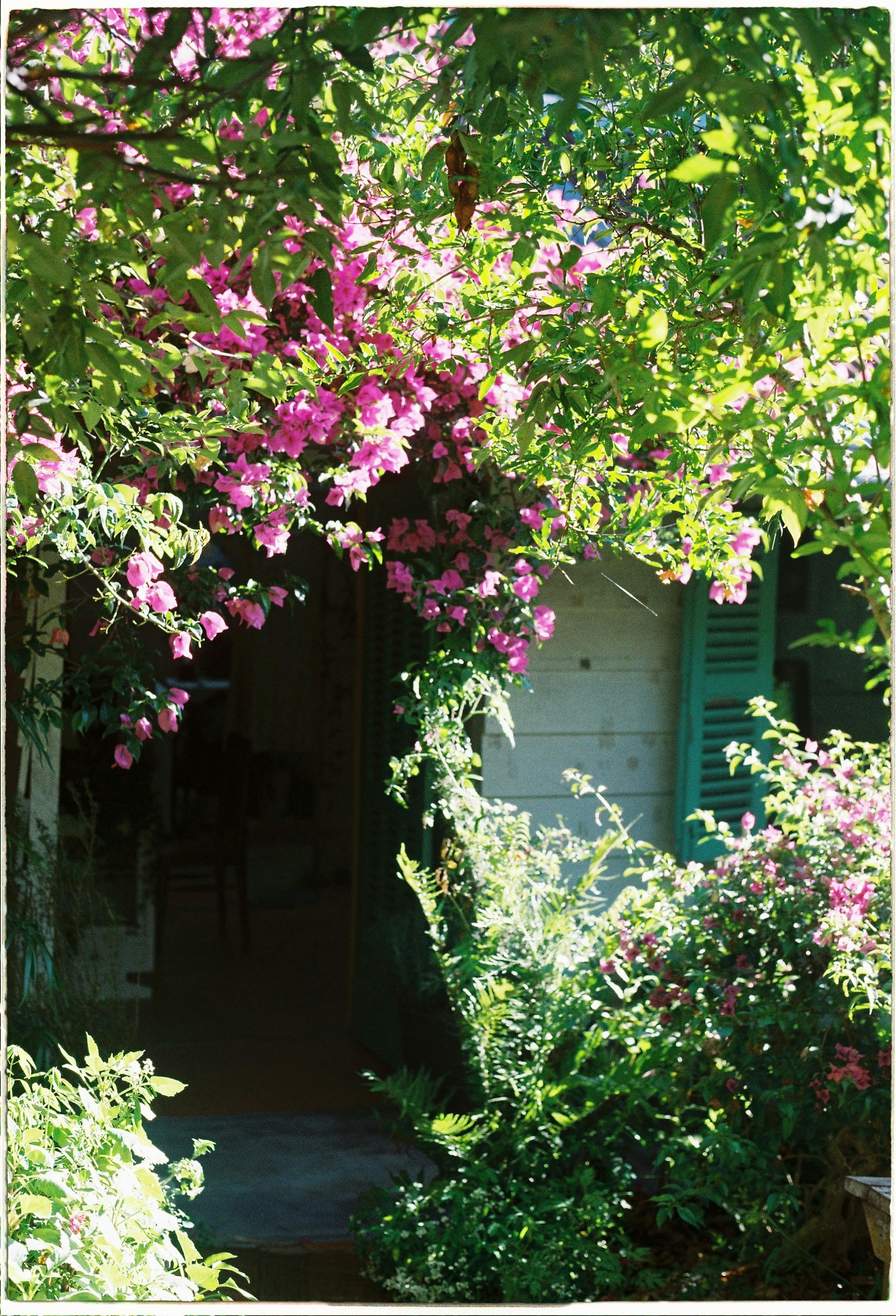 Beautiful landscaped garden